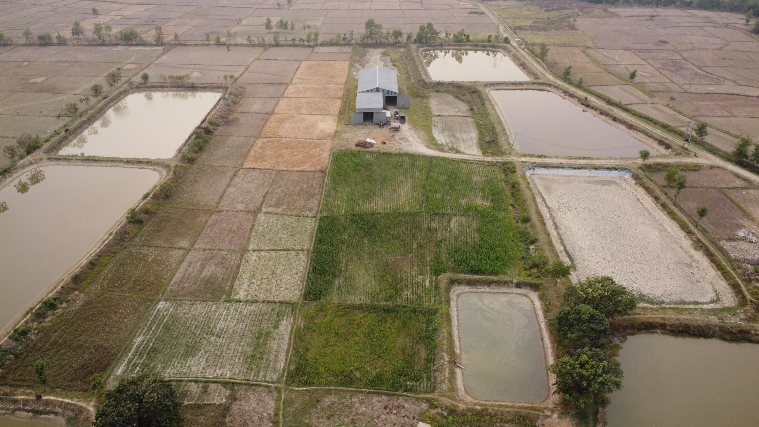 Empowering Communities through Sustainable Agriculture