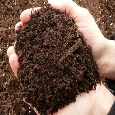Organic Compost