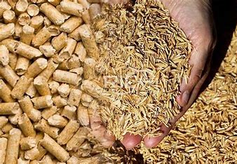 Rice Husk Pellets